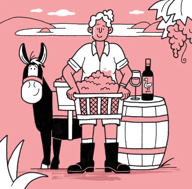 Lifestyle master of wine
