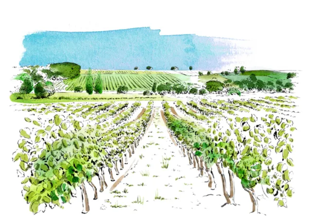 Food & Drink Vineyard
