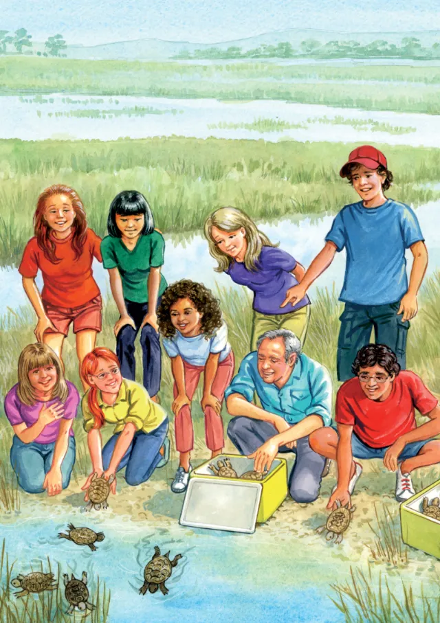 Front cover illustration of Adventures of the Sizzling Six book
