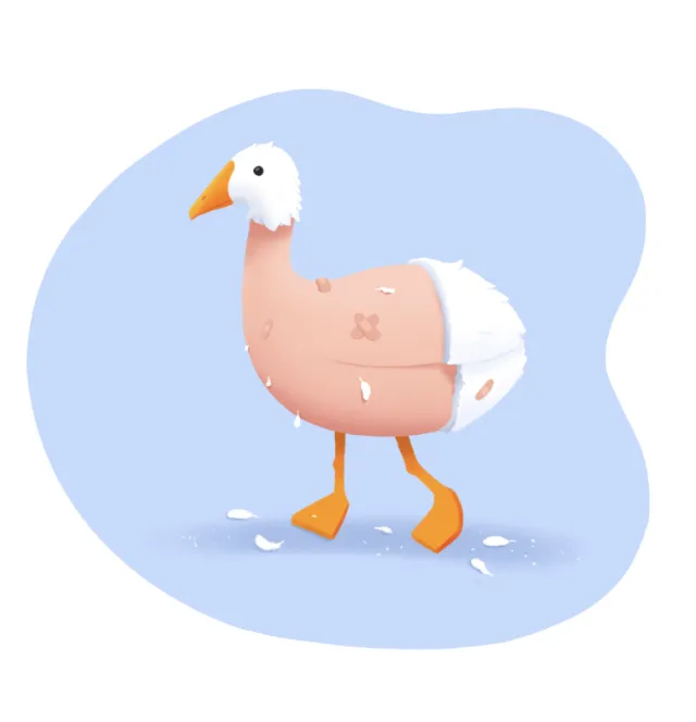 Animals duck with out feathers