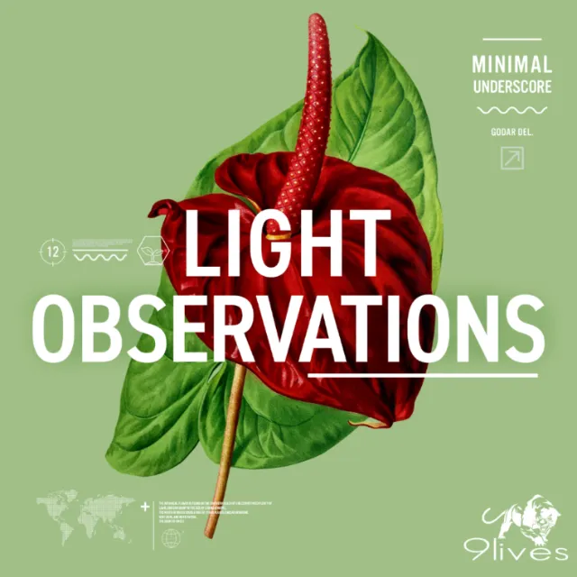 Nature Light observations