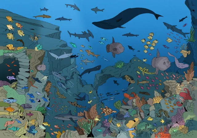 Under the water illustration 'Where's Attenborough' book