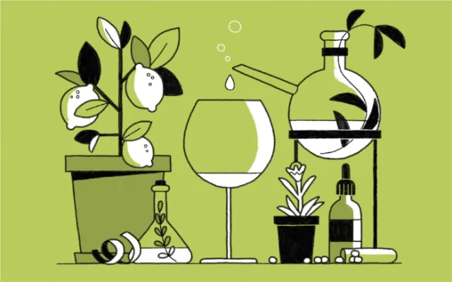 Minimalist botanical still life with plants and glassware by Paperface