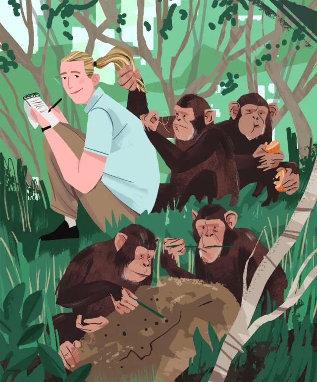 Illustration of Jane Goodall with chimpanzees in the forest by Drew Bardana