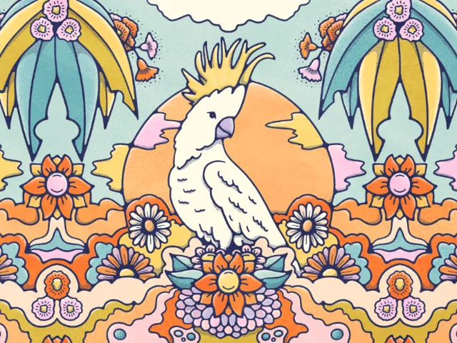 Australian cocktoo bird illustration. perched on a bed of bright coloured flowers, set again an oran