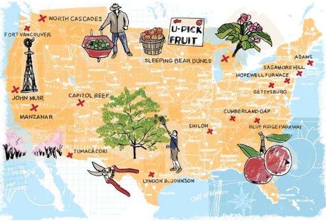 Geography print of orchard