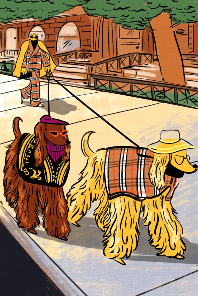 Two dogs in coats walking on sunny city sidewalk by Amber Day