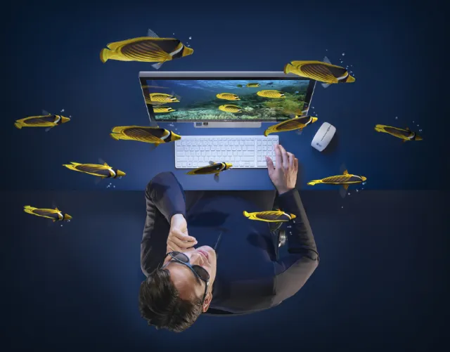 Man working on laptop surrounded by floating fish, artwork by CUBE