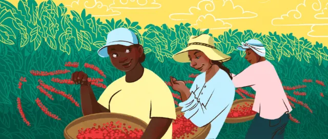Farmers harvesting red chili peppers in field by Manu Cunhas