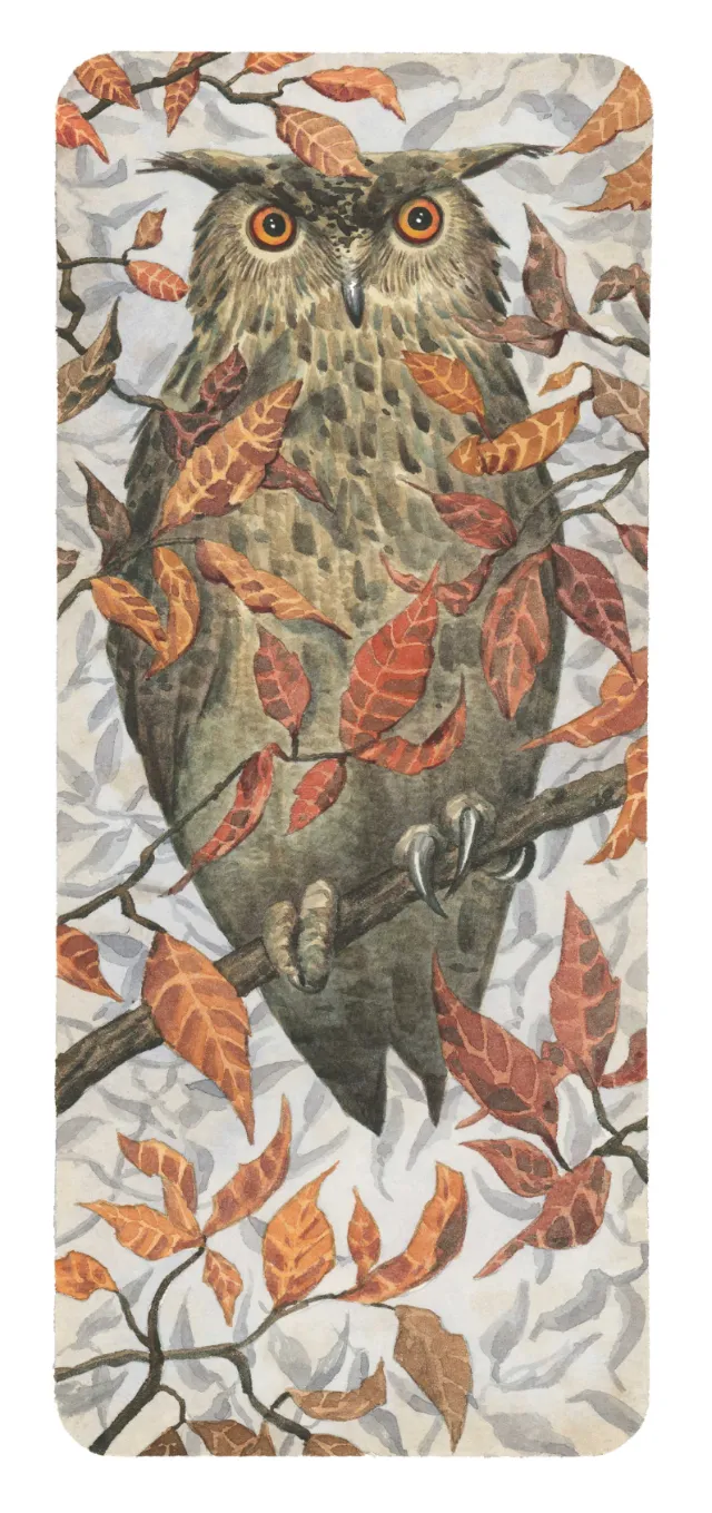 owl