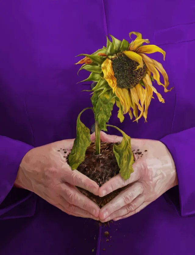 Hands holding a wilted sunflower with soil, by POW!!!