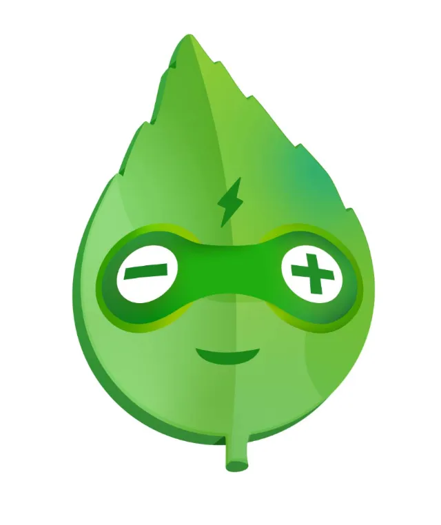 Green leaf with plus and minus symbol mask illustration by Samy Löwe