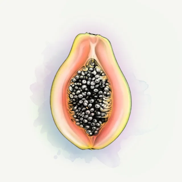 Photorealistic illustration of papaya