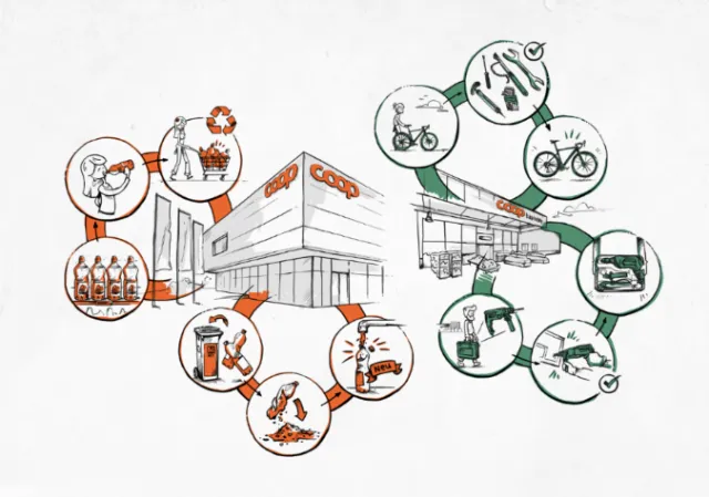 Coop store illustration with linked product and activity icons by Lukas Bischoff