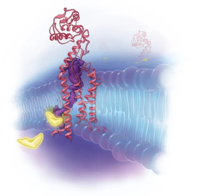 Medical illustration about chemotherapy resistant AML treatment