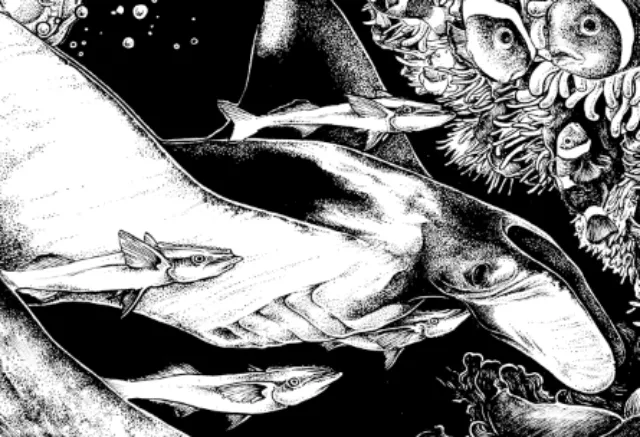 Illustration of a hammerhead shark swimming with fish by Carles Garcia O'Dowd
