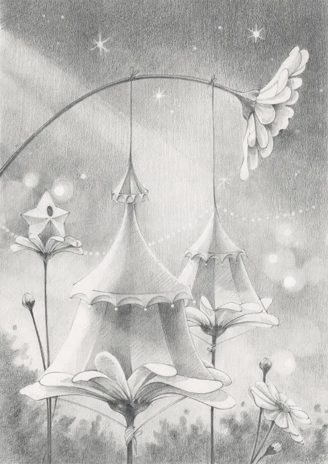 circus, meadow, daisy, night, stars