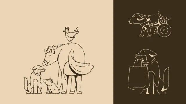 Minimalist line art of dog, cat, bird, and horse by Joseph Carrington