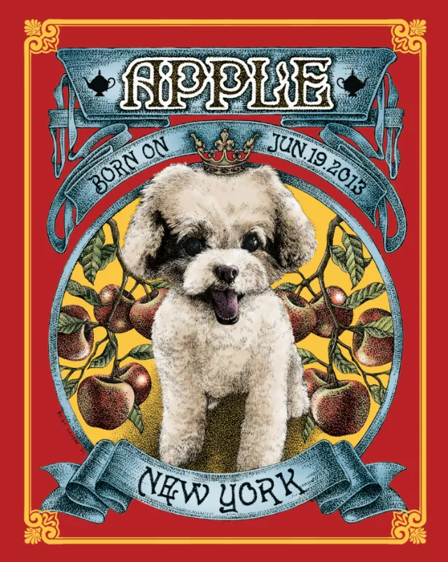 Pet portrait of small white dog Apple with fruit frame by Reiko Lauper