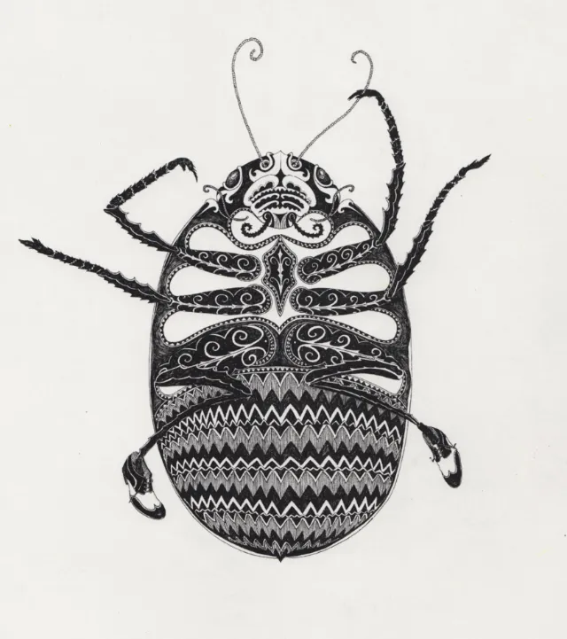 Detailed black and white beetle drawing by Rohan Eason