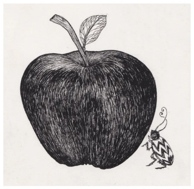 Black ink drawing of an apple with a small patterned bug by Rohan Eason