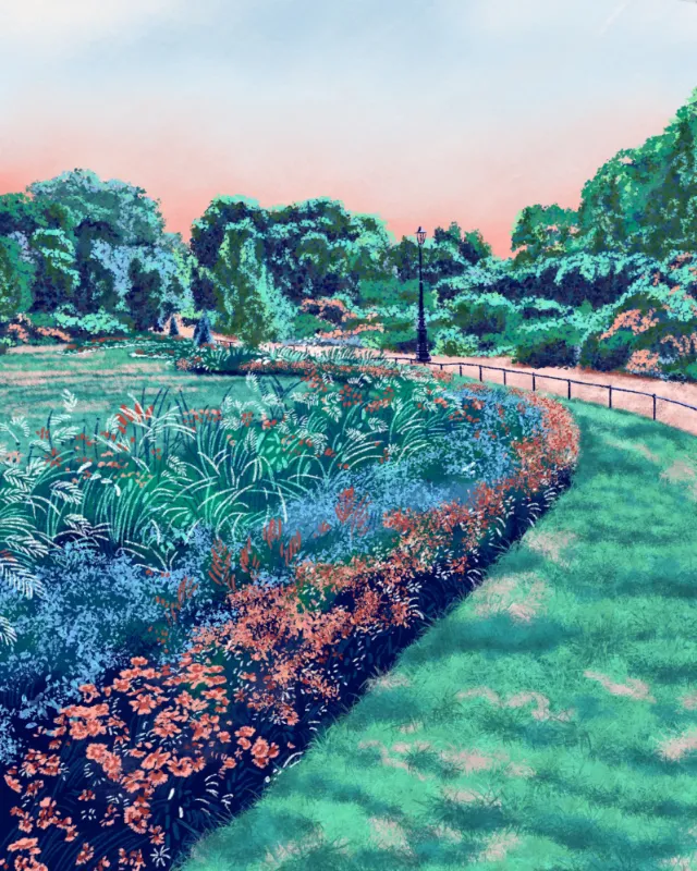 Sketch artwork of Hyde Park Rose Garden for Apple Inc