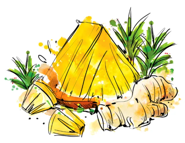 Illustration of pineapple slices and ginger root by Amber Day