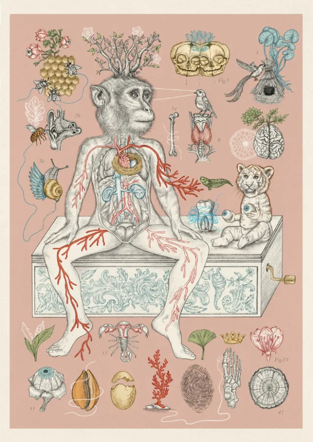 Illustration for the article 'Myths and Truths of Astral Compatibility'
