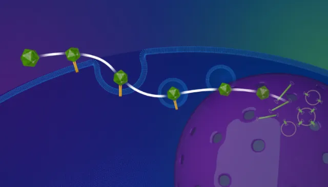 Molecular model of gene therapy process by Craig Foster