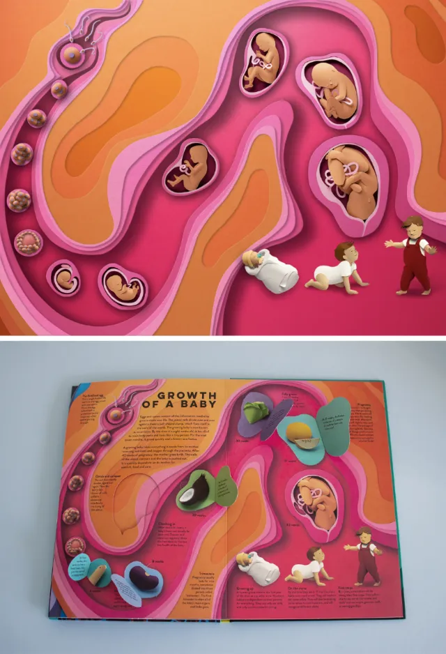 Papercut artwork of growth of a baby