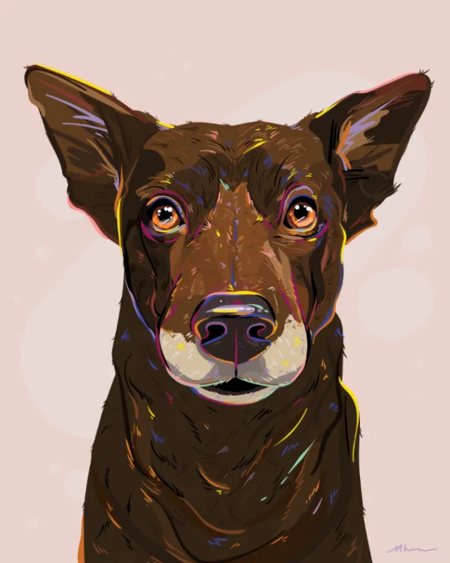Pet portrait of a dog