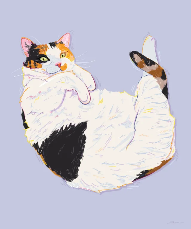 Cat pop art creation in vibrant colors