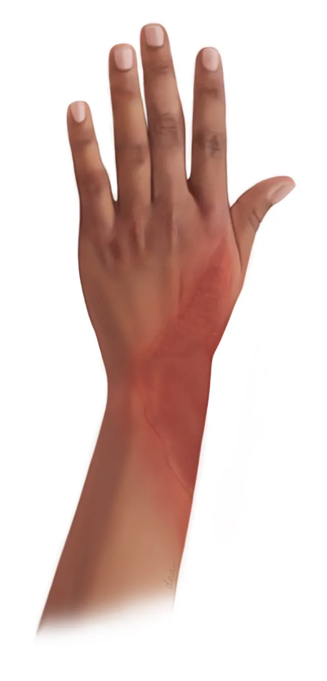 Illustration of a human left hand with natural skin tones by Alex Webber