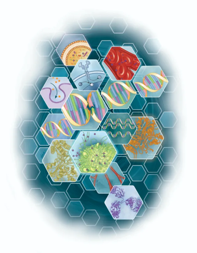Hexagonal cells with DNA strands and molecular structures by Alex Webber