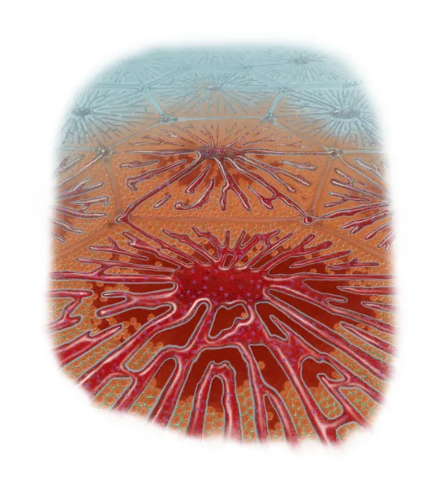 Close-up of red and orange abstract organic patterns by Alex Webber