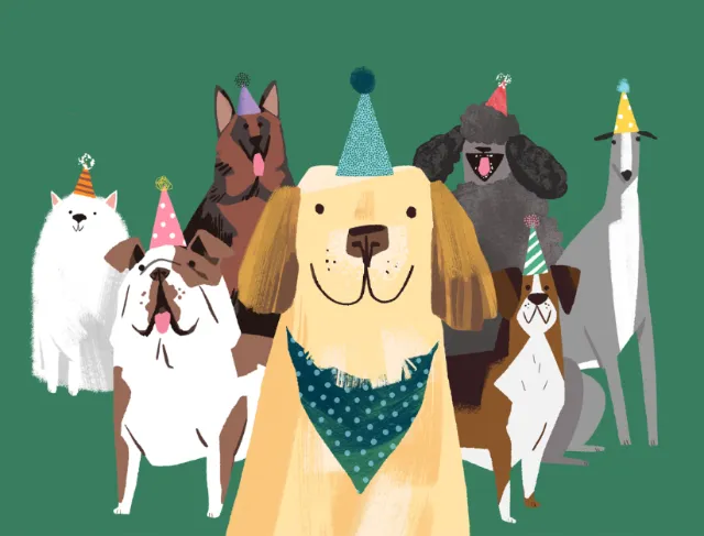 Illustration of dogs wearing colorful party hats by Drew Bardana