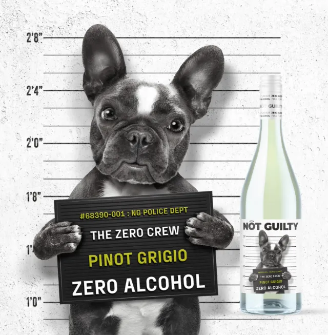 French Bulldog mugshot holding sign with Pinot Grigio bottle by CUBE