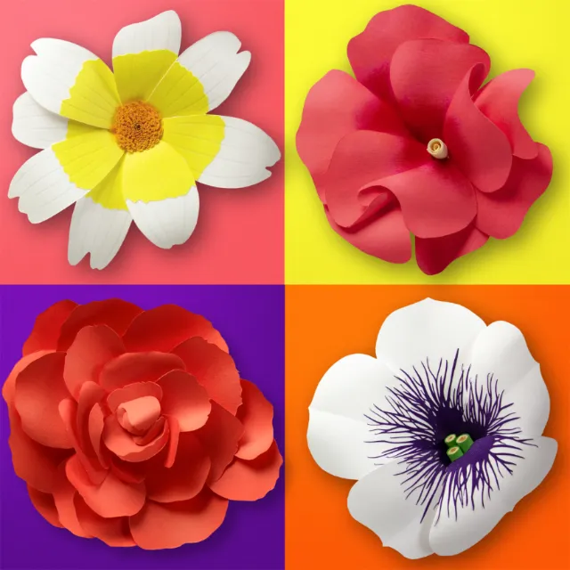 A paper collage of a common daisy plant
