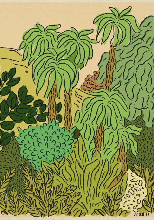 Colorful illustration of tropical plants and leaves by Amber Day.