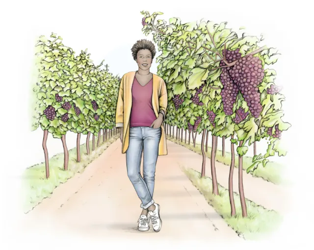 Woman at Gallo vineyard