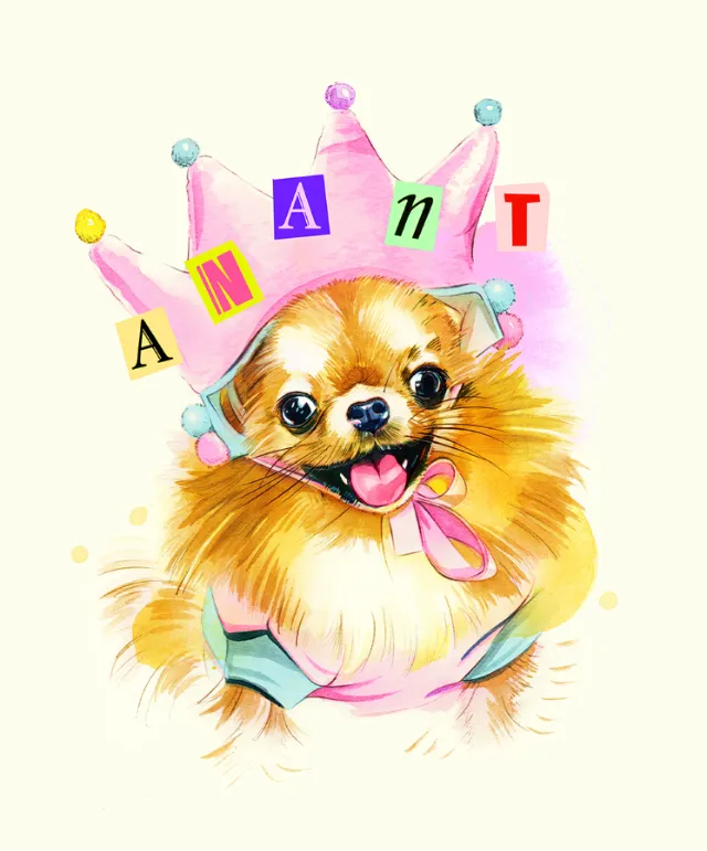 Happy Pomeranian dog wearing colorful crown illustration by Natalia Sanabria