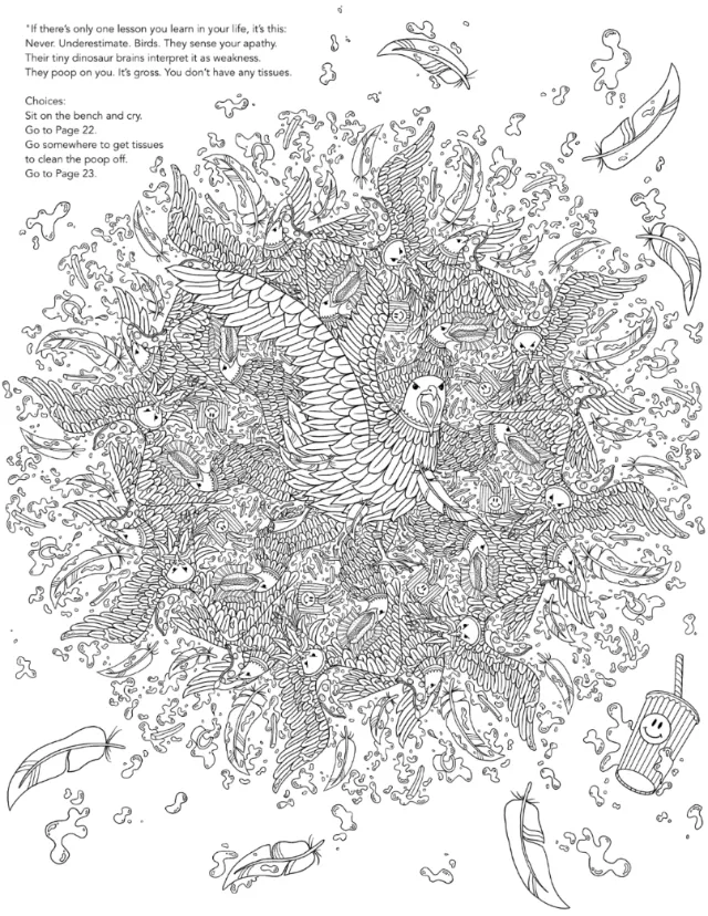 Detailed coloring book page of birds and feathers by Rachel Winter