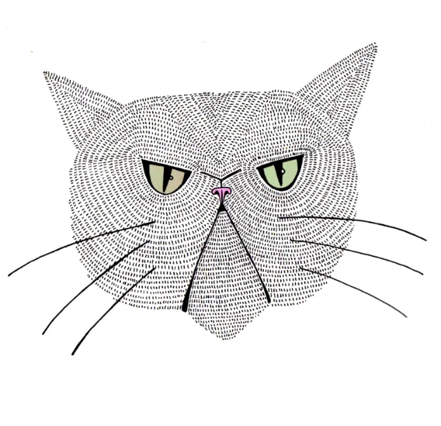 Line art illustration of a cat's head with green eyes by Hannah Davies