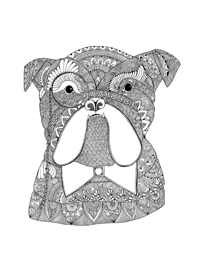 Black and white patterned boxer dog illustration by Hannah Davies