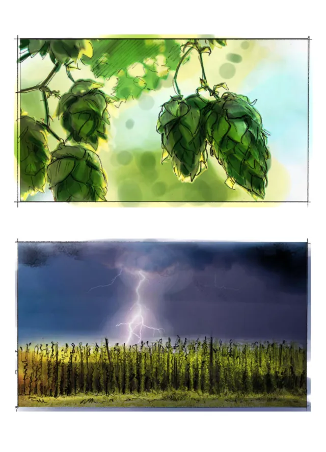 Hops plants with green leaves and lightning storm over a field by Henryk Zimak