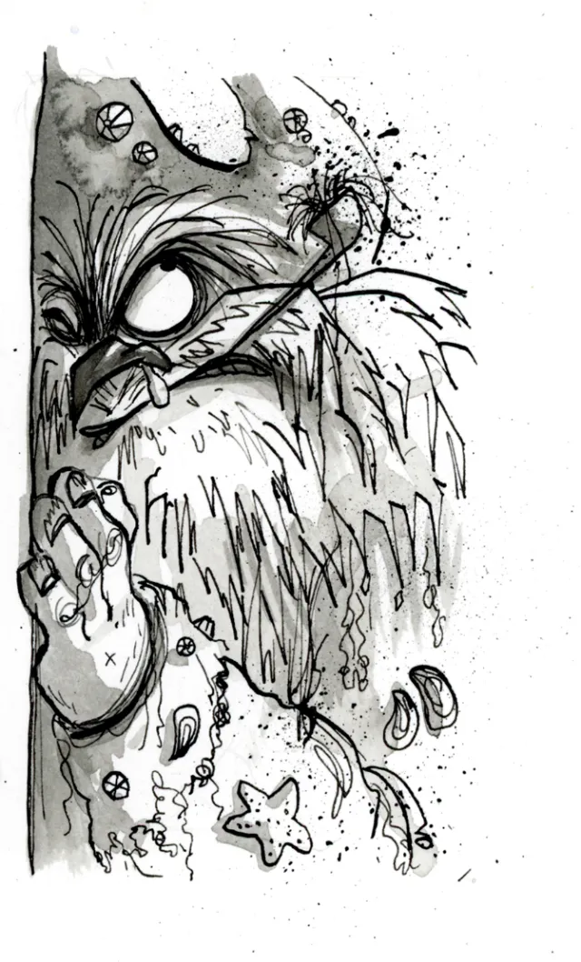 Black and white sketch of a mystical bearded creature with starfish