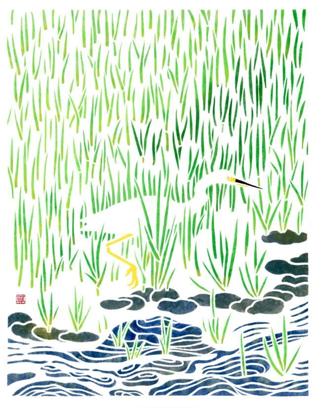 A natural drawing of a snowy egret