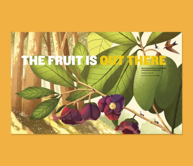Purple fruit hanging from leafy tree branches in sunlight