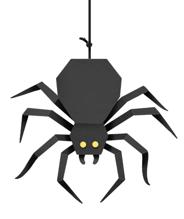 Black spider with yellow eyes hanging from a thread