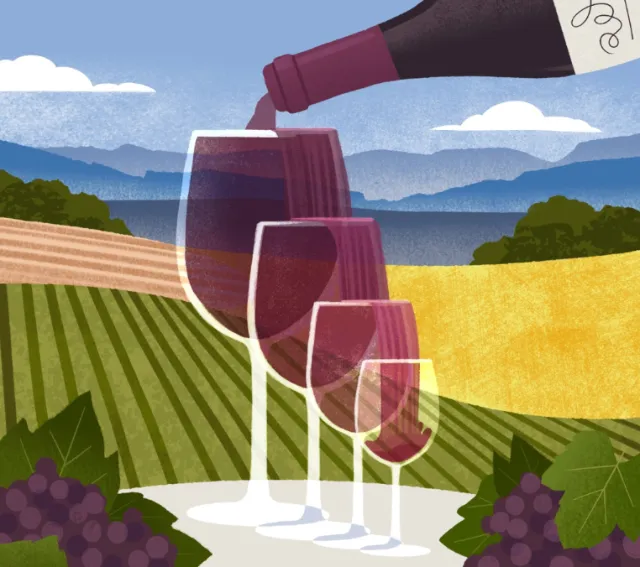 Wine being poured into glasses over California vineyards, illustration by Drew Bardana